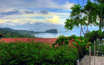 Картинка природа пейзажи