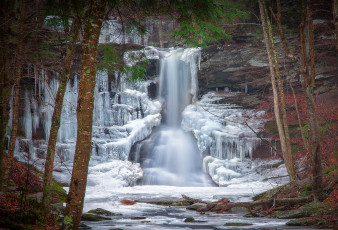 Картинка природа водопады водопад река лес
