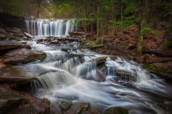 Картинка природа водопады водопад река лес