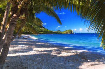 Картинка природа тропики берег океан