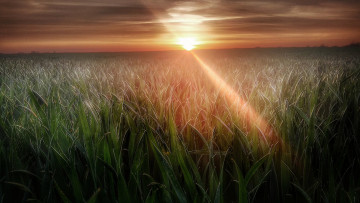 Картинка природа восходы закаты рассвет