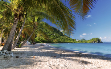 Картинка природа тропики берег океан