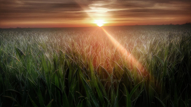 Обои картинки фото природа, восходы, закаты, рассвет