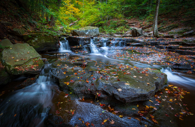 Обои картинки фото природа, водопады, водопад, река, лес