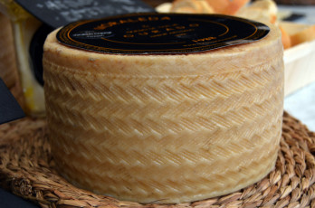 Картинка еда сырные+изделия сыр