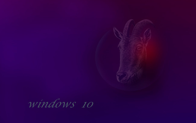 Обои картинки фото компьютеры, windows  10, логотип, фон