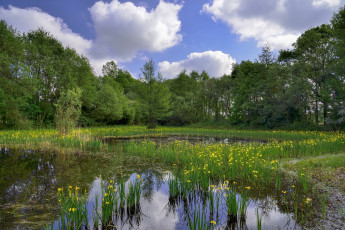 Картинка природа реки озера простор