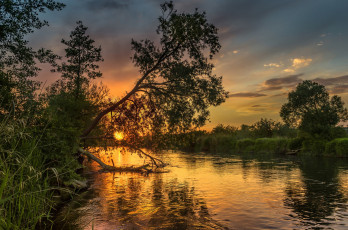 Картинка природа реки озера простор