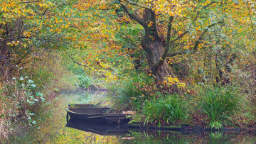 Картинка корабли лодки +шлюпки осень заводь лодка