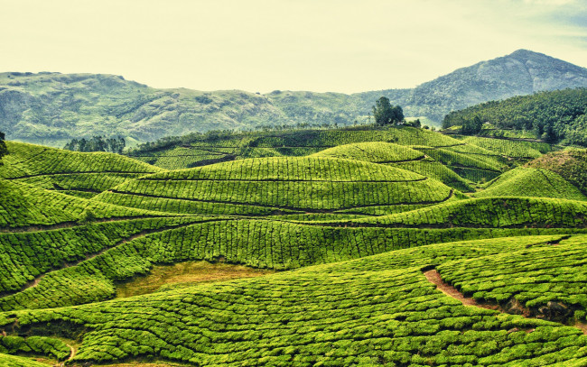 Обои картинки фото природа, поля, холмы