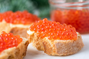 Картинка еда бутерброды +гамбургеры +канапе икра