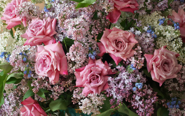 Обои картинки фото цветы, разные вместе, розы, сирень