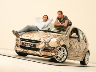 Картинка автомобили smart