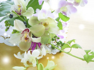 Картинка цветы орхидеи