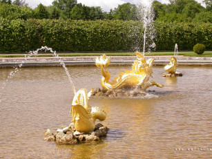 Картинка города санкт петербург петергоф россия