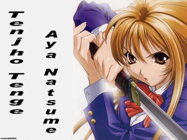 Обои картинки фото аниме, tenjou, tenge