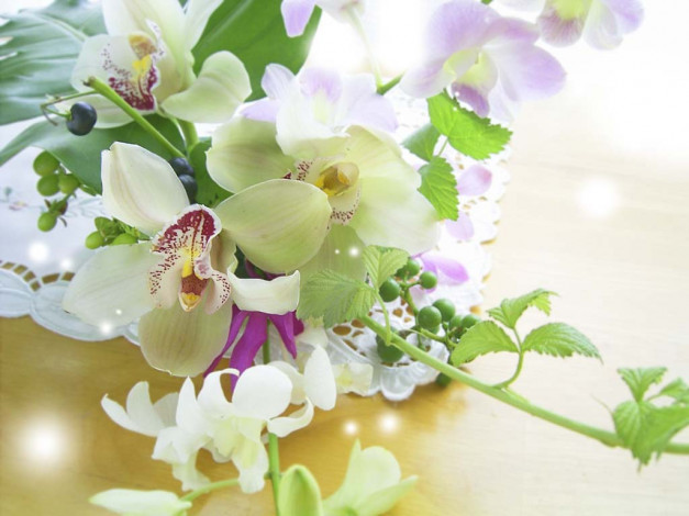 Обои картинки фото цветы, орхидеи