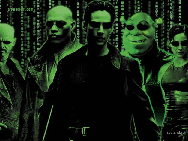 Обои картинки фото юмор, приколы