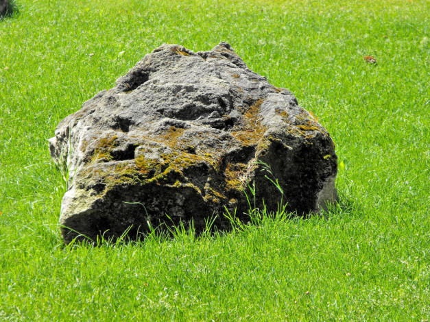 Обои картинки фото 