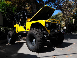 Картинка автомобили выставки уличные фото