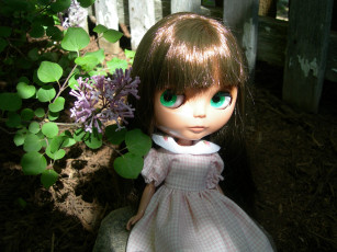 Картинка разное игрушки кукла