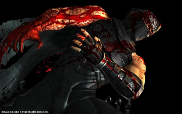 Картинка ninja gaiden видео игры