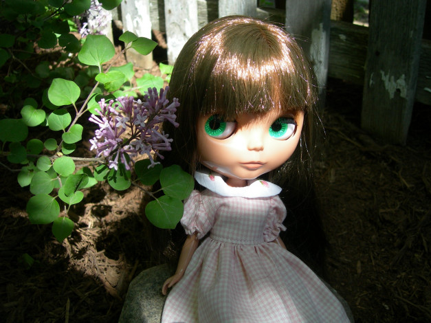 Обои картинки фото разное, игрушки, кукла