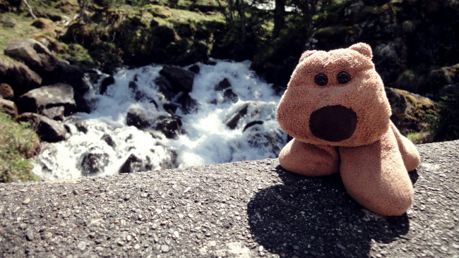 Обои картинки фото разное, игрушки