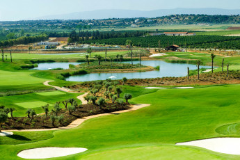 Картинка turks and caicos islands in the caribbean природа луга