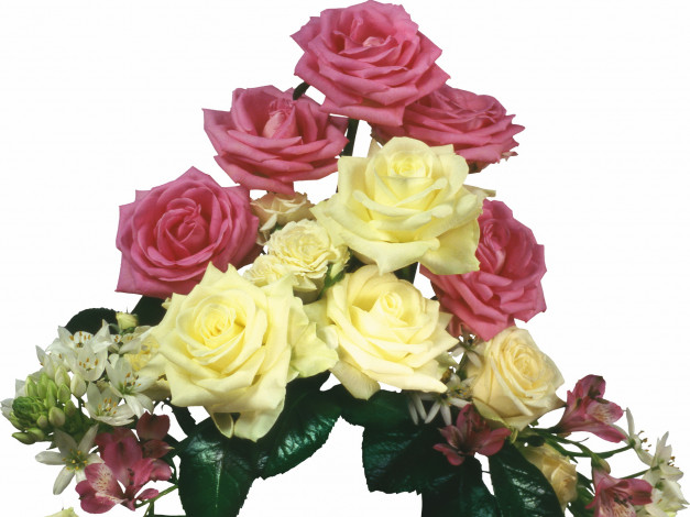 Обои картинки фото цветы, розы, композиция