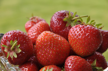 Картинка еда клубника земляника ягоды