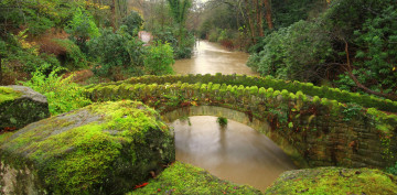 Картинка jesmond dene newcastle england природа реки озера ньюкасл англия мост река камни мох лес джесмонд дене