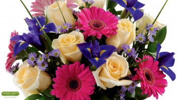 Картинка цветы букеты композиции герберы розы ирисы