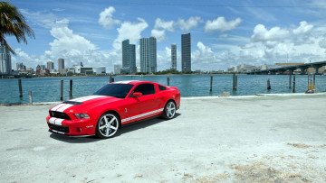 Картинка mustang автомобили ford motor company сша