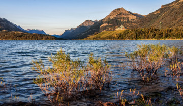 Картинка waterton lakes national park природа реки озера горы озеро
