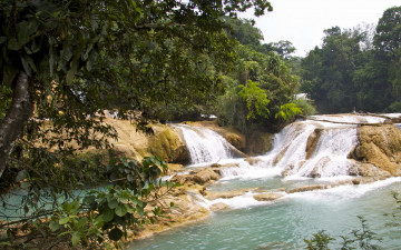 Картинка cascadas de agua azul mexica природа водопады водопад река лес