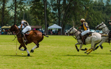 Картинка спорт другое поло watanabe yoshihiro boku wa tomodachi ga sukunai девушка кимоно узор kashiwazaki sena