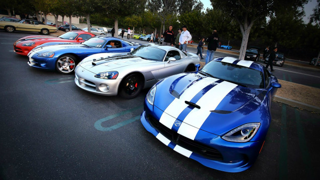 Обои картинки фото автомобили, выставки, уличные, фото, dodge, viper