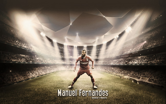 Обои картинки фото спорт, футбол, игрок, стадион