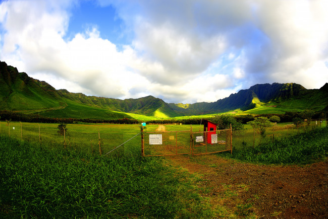 Обои картинки фото природа, другое, ограда