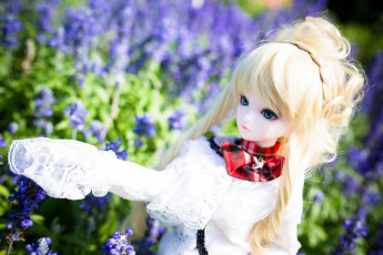 Картинка разное игрушки кукла