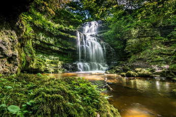 Картинка природа водопады река водопад лес