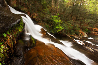 Картинка природа водопады река водопад лес