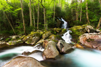 Картинка природа водопады водопад река лес