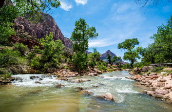 Картинка природа реки озера горы лес река поток