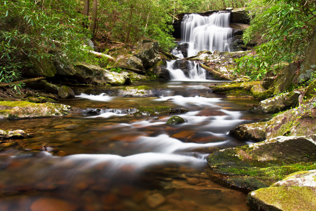 Обои картинки фото природа, водопады, водопад, река, лес