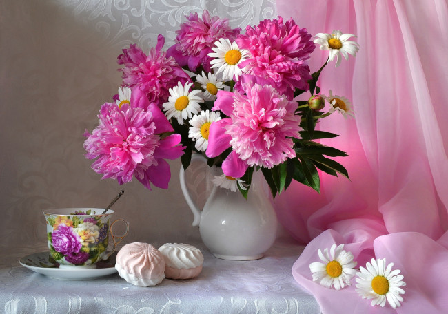Обои картинки фото цветы, букеты,  композиции, ромашки, зефир, пионы