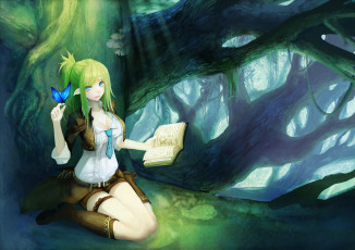 Картинка аниме животные +существа бабочка книга арт эльф лес девушка