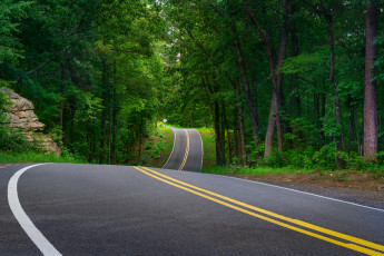 Картинка природа дороги рекатракт лес