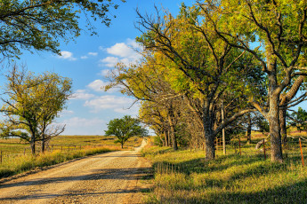 Картинка природа дороги тракт